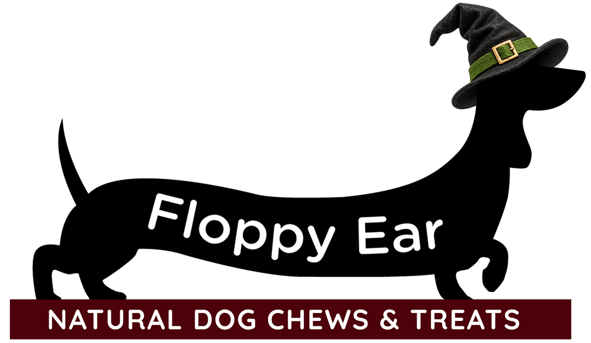 Floppy Ear