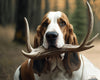 Antler Chews for Dogs: A Sustainable and Eco-Friendly Choice for Pet Owners