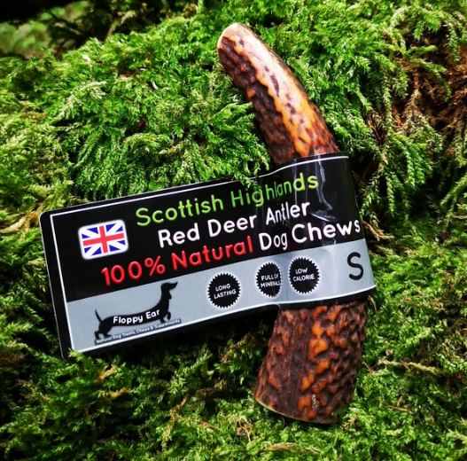 What are the Desirable Aspects of a Good Dog Chew?