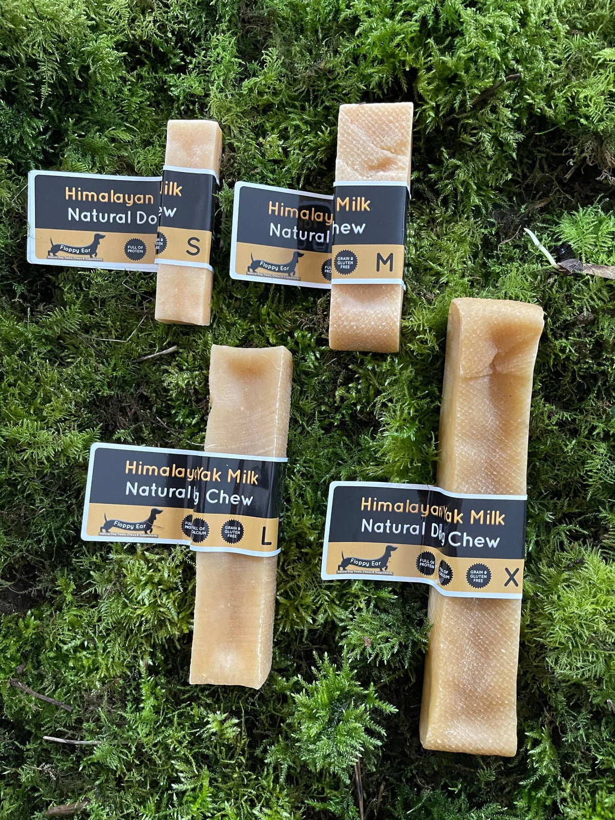 Himalayan Yak Chews for Dogs - Floppy Ear