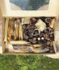 Nature Chews & Treats Box