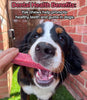 Strawberry Yak Dog Chew - Floppy Ear
