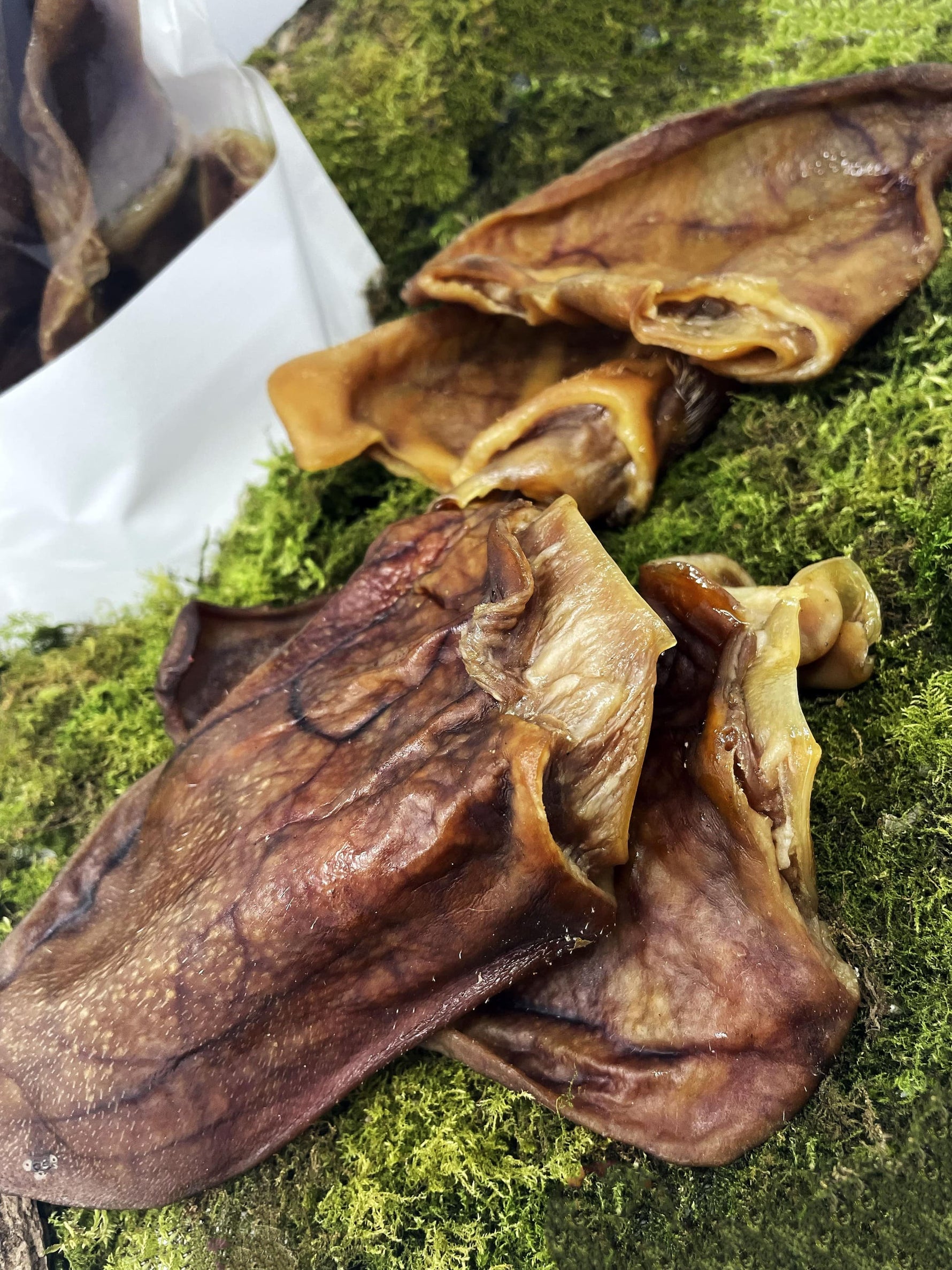 Floppy Ear Air Dried Pig Ears Natural Dog Chew close up showing crunchy texture on moss
