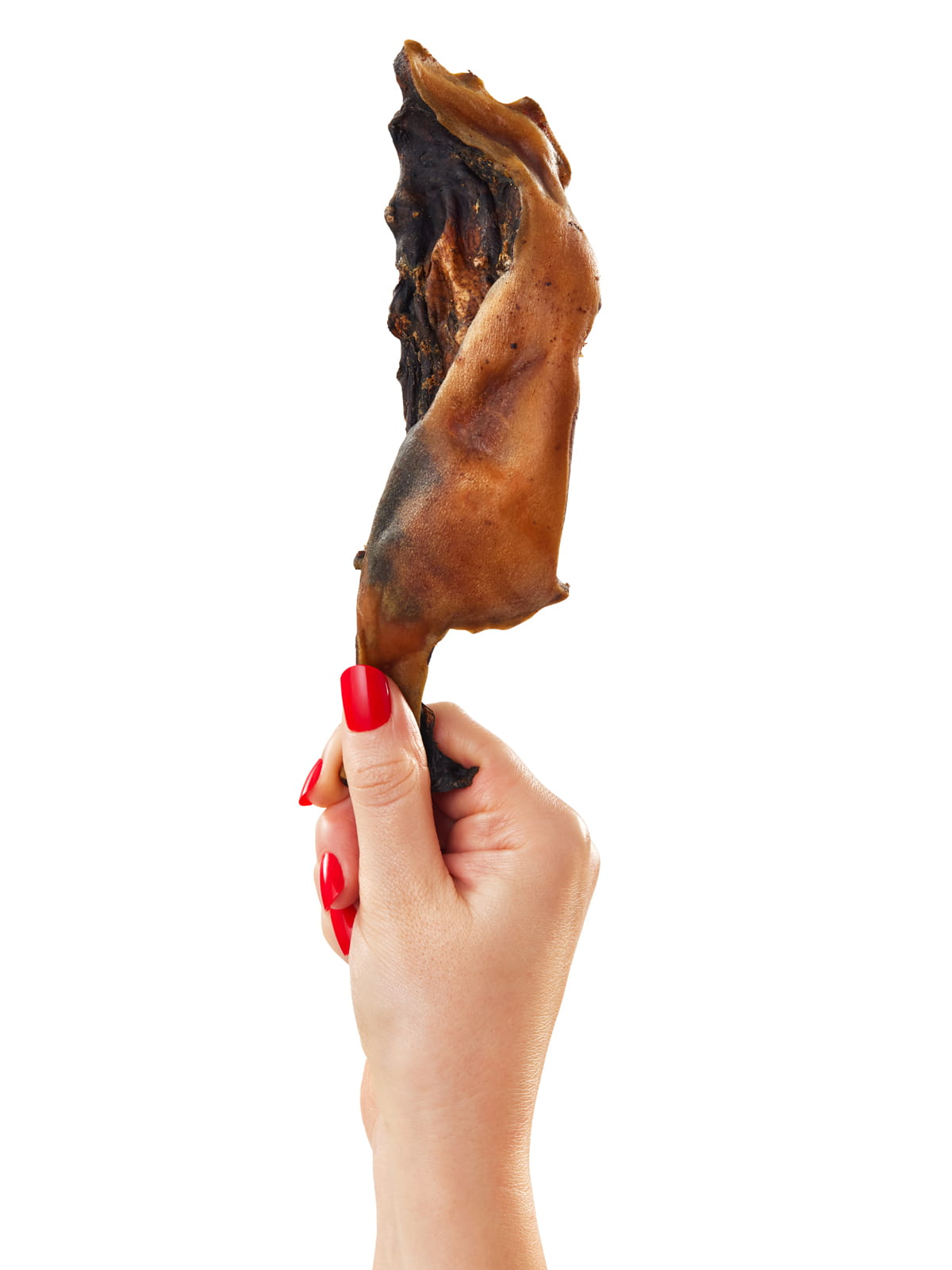 Hand with red nails holding single Floppy Ear natural dried beef collagen strip chew showing rich dark texture and size