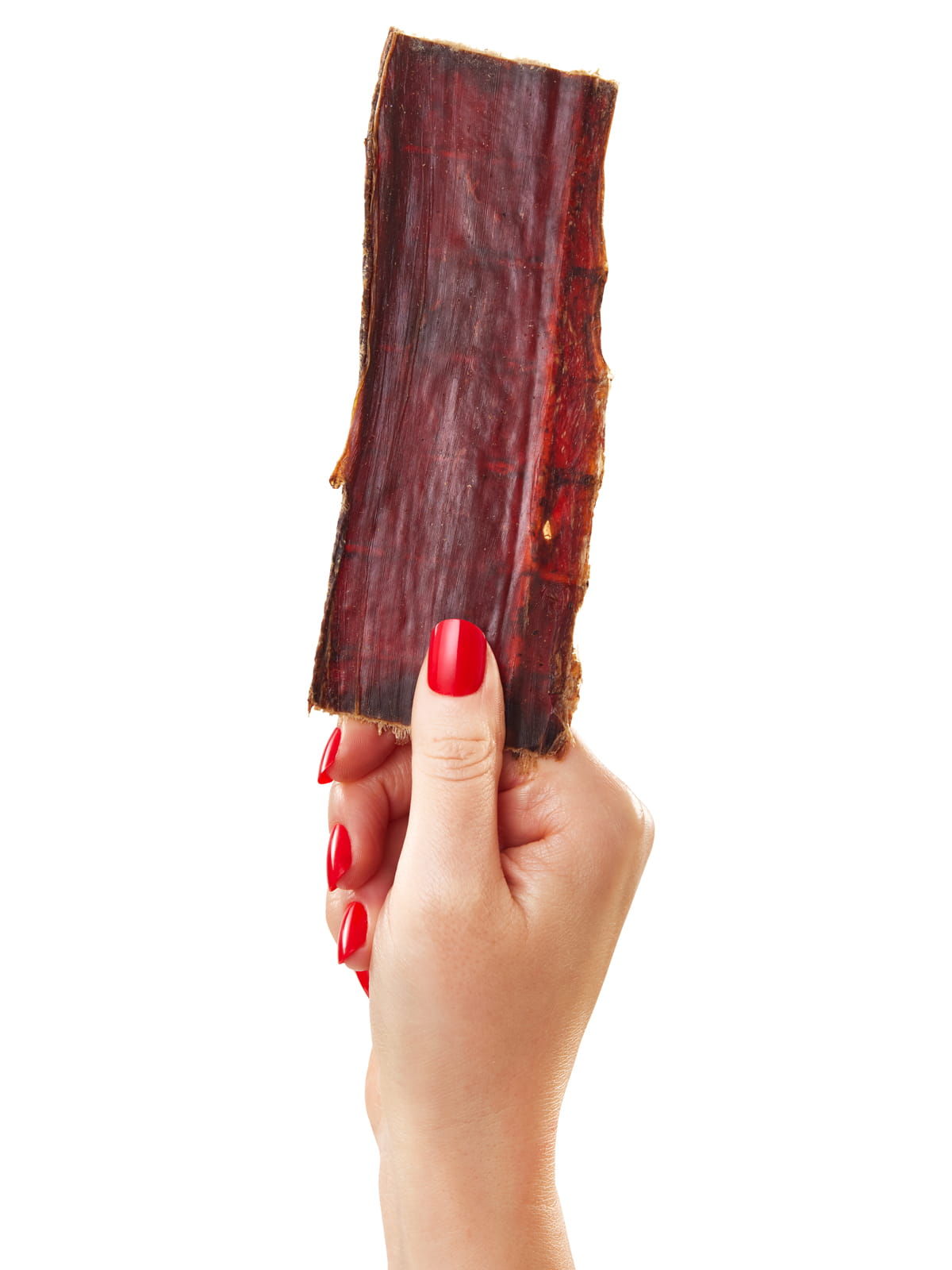 Hand with red nails holding single Floppy Ear natural dried beef gullet chew strip showing texture and size