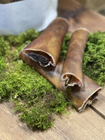 Floppy Ear 100% Natural Air Dried Beef Skin Dog Chew cut open showing texture on moss