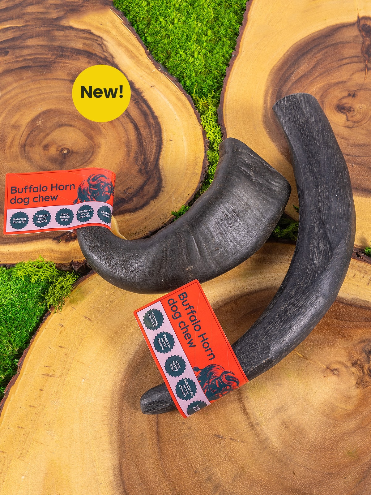 Floppy Ear Buffalo Horn Dog Chew Large and Medium sizes on wooden slices with moss New product