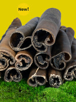 Floppy Ear Camel Skin Roll Chew cut open showing texture New product