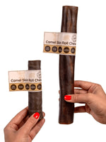 Floppy Ear Camel Skin Roll Chew Small and Large sizes held in hands
