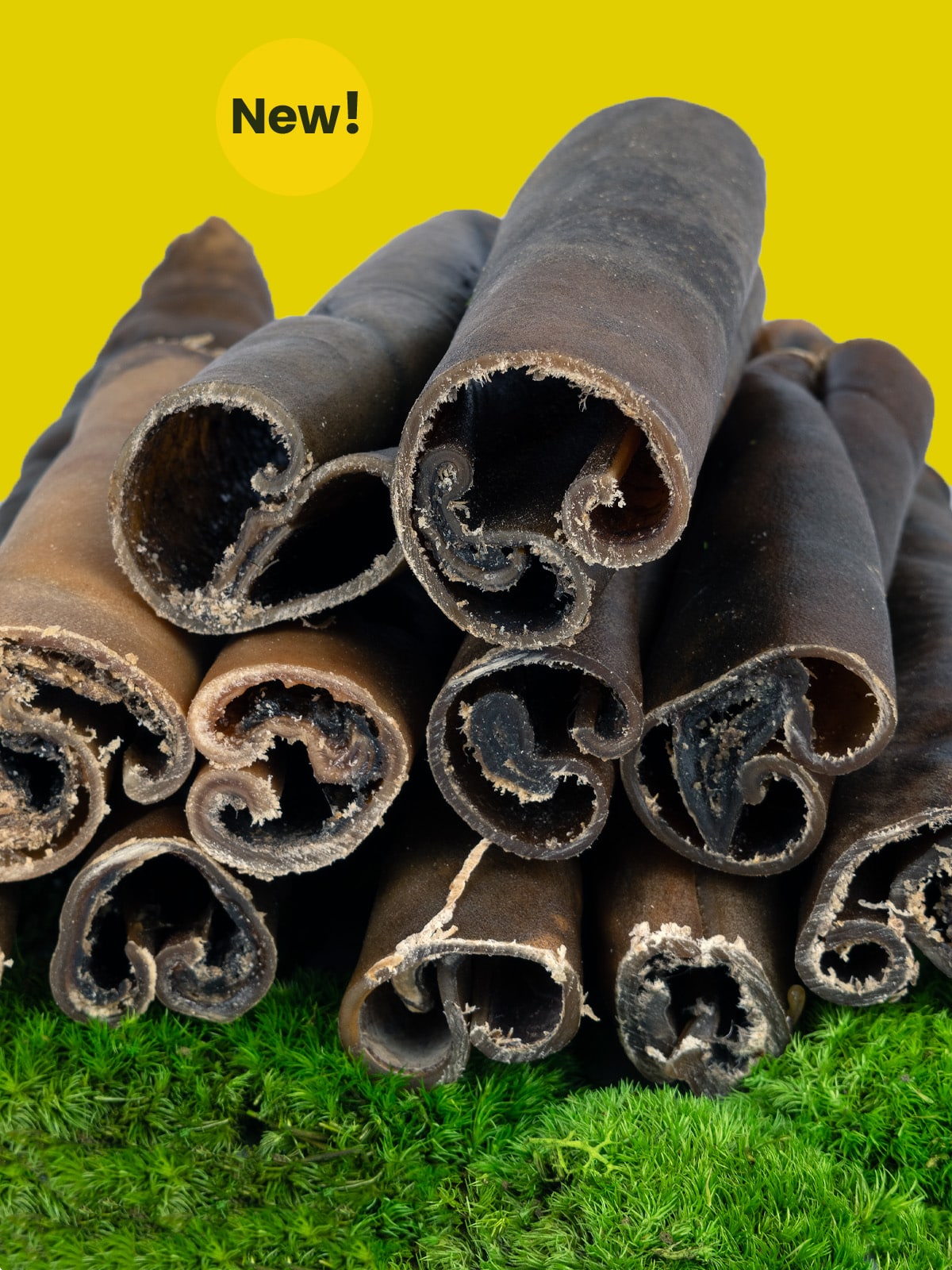 Camel Skin Roll Dog Chew