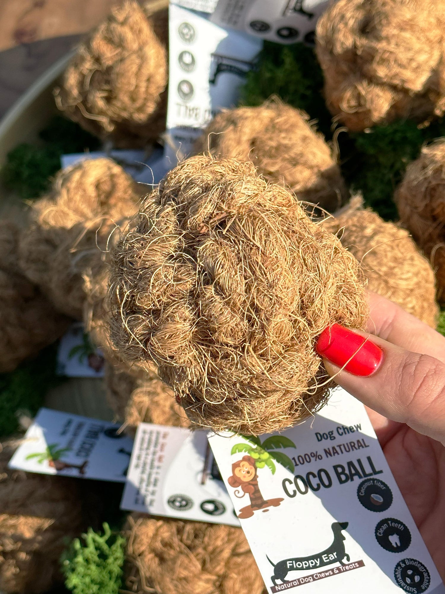 Floppy Ear Coco Ball 100% Natural Coconut Fiber Dog Chew held in hand