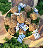 Floppy Ear Coco Ball Natural Dog Chews in wooden bowl with moss