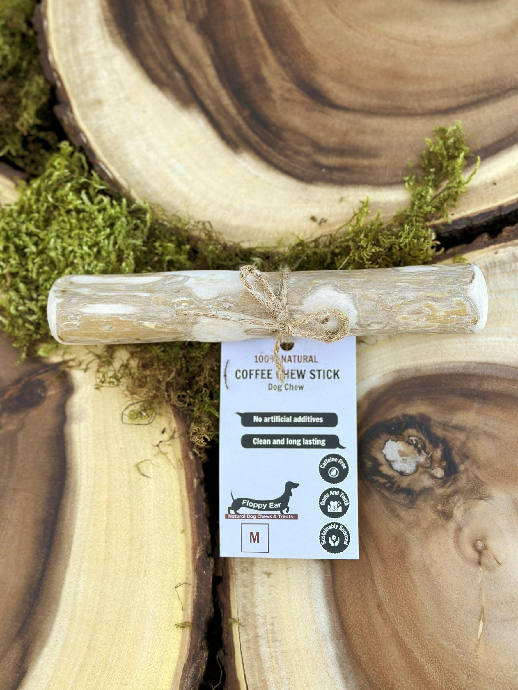 Floppy Ear Coffee Chew Stick Medium size on wooden slice with moss