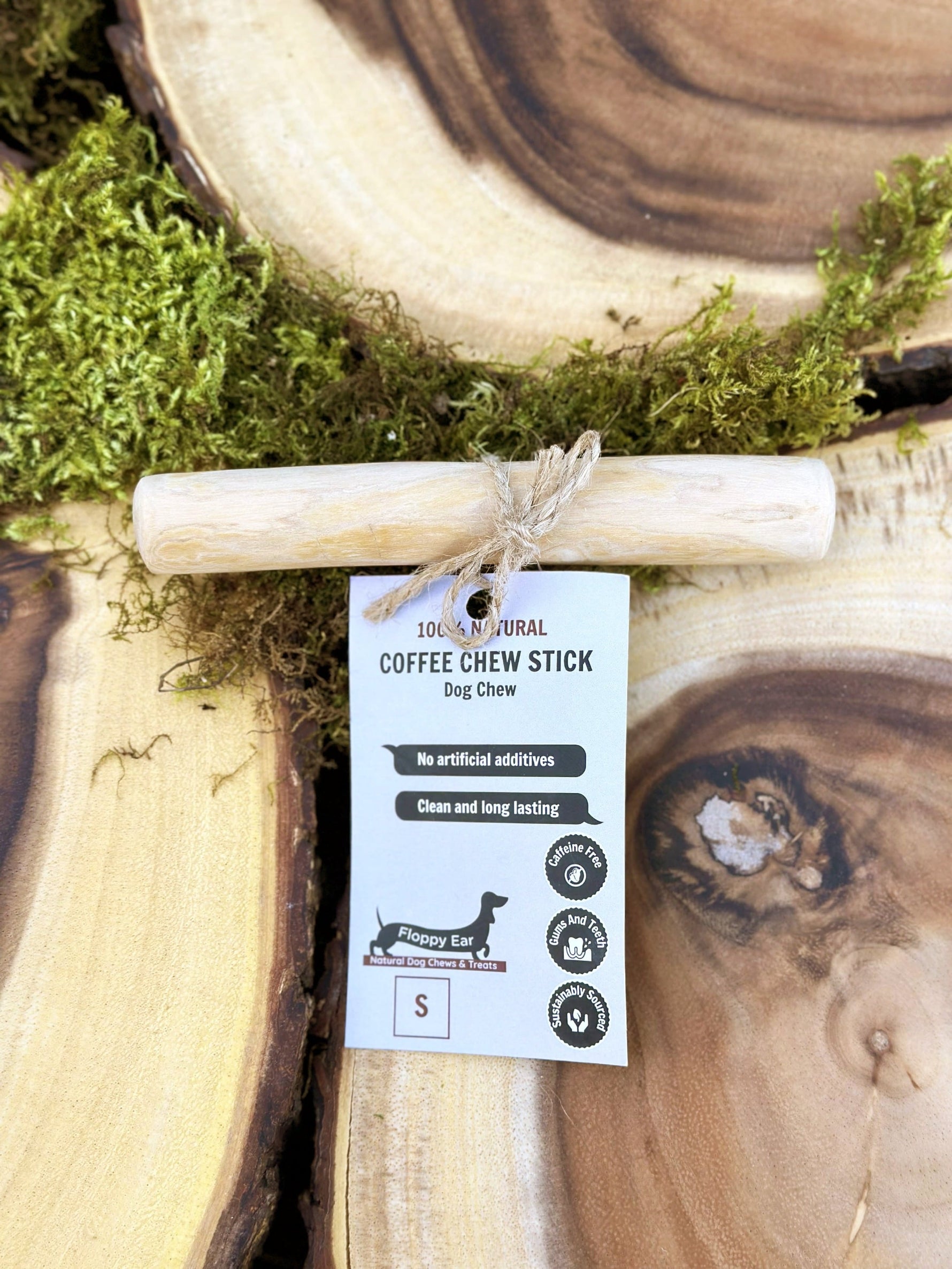 Floppy Ear Coffee Chew Stick Small size on wooden slice with moss