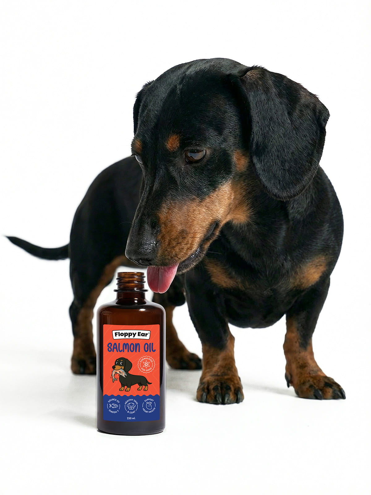Dachshund next to salmon oil for dogs supporting skin coat and heart health