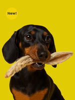 Rabbit Ears with Fur Chew Box - Floppy Ear