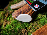 Floppy Ear 100% Natural Elk Antler Dog Chew close up cross section showing texture on moss