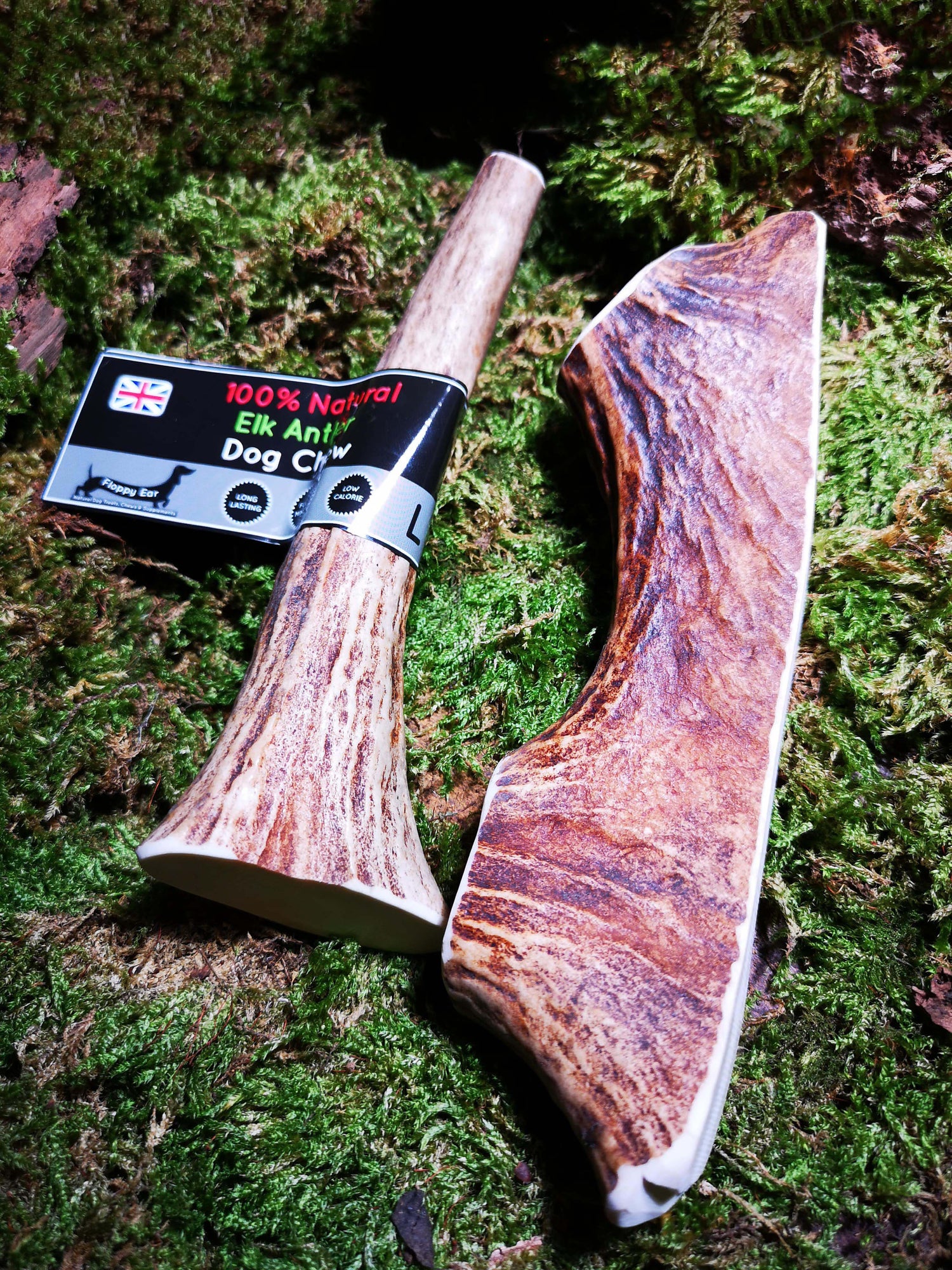 Floppy Ear 100% Natural Elk Antler Chew Large size on moss