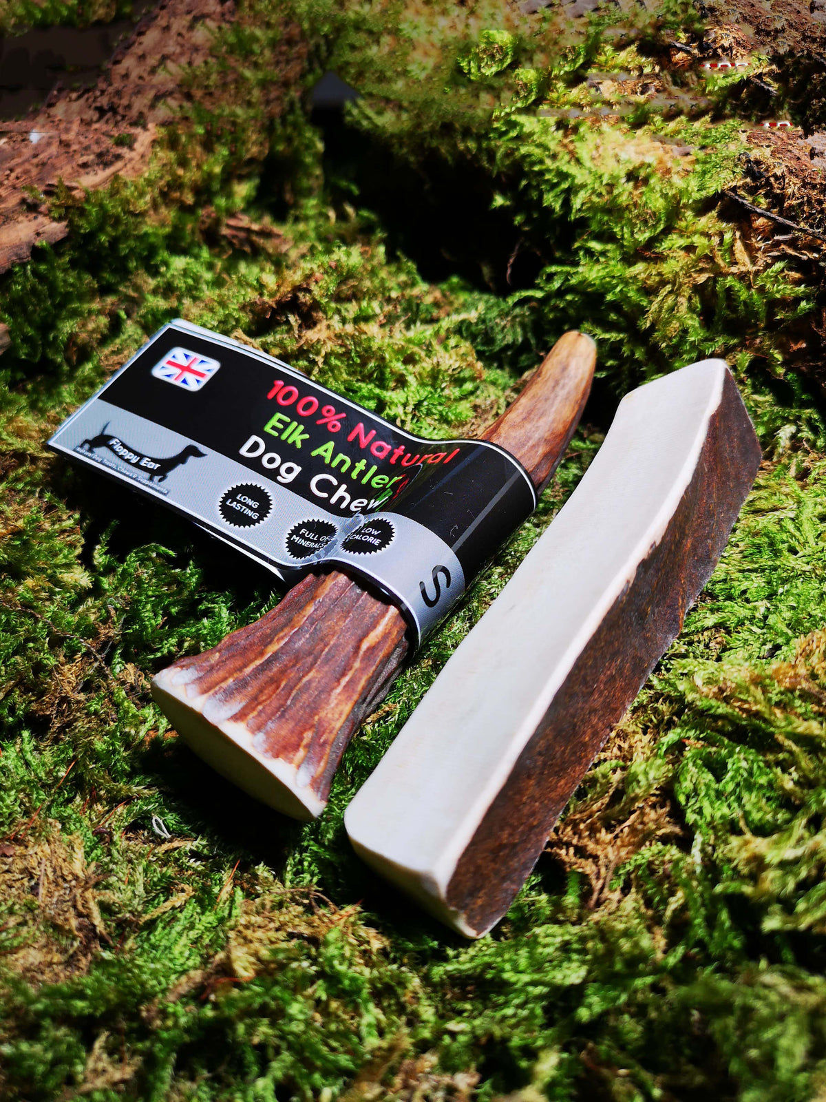Floppy Ear 100% Natural Elk Antler Chew Small size on moss
