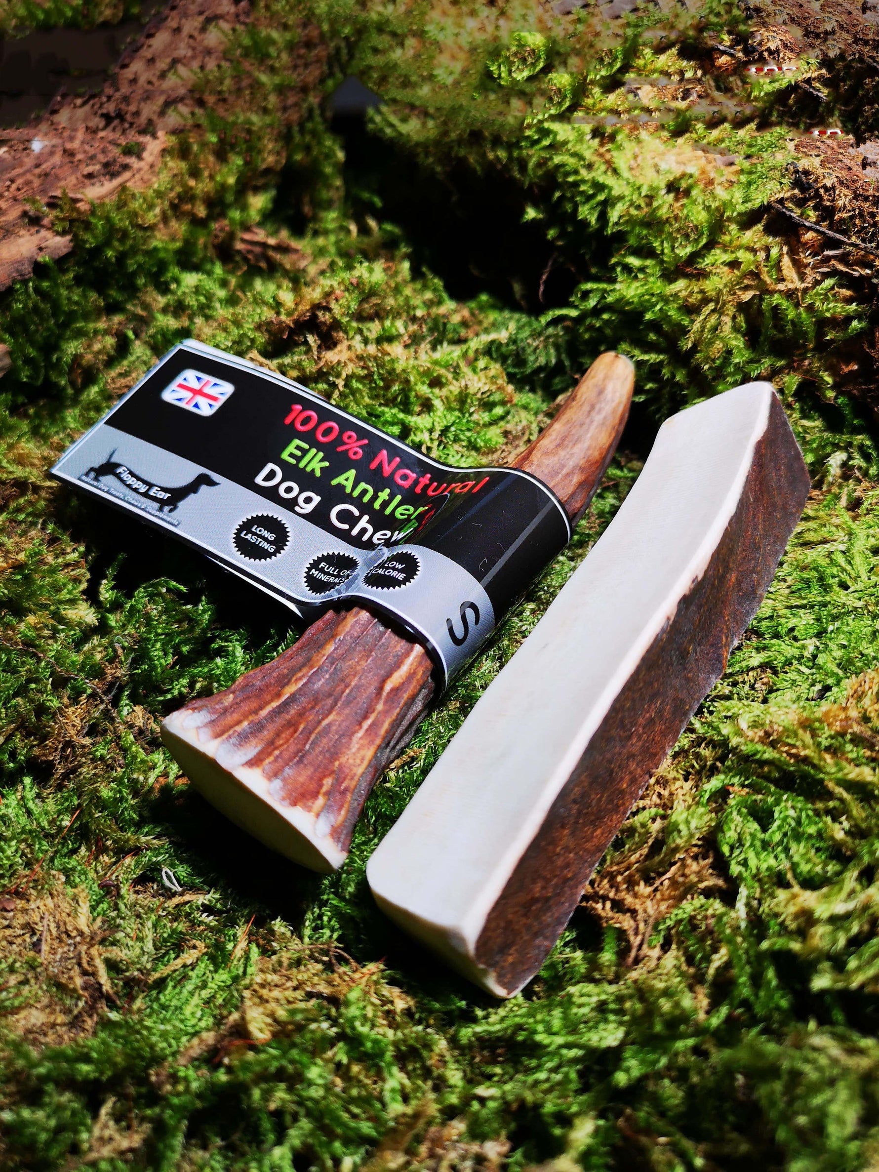Floppy Ear 100% Natural Elk Antler Chew Small size on moss
