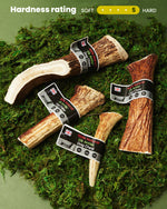 Floppy Ear Elk Antler Chews all sizes on moss with hardness rating 5