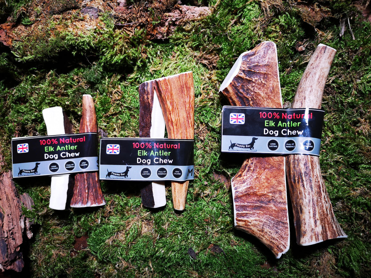 Floppy Ear 100% Natural Elk Antler Dog Chews in multiple sizes with packaging
