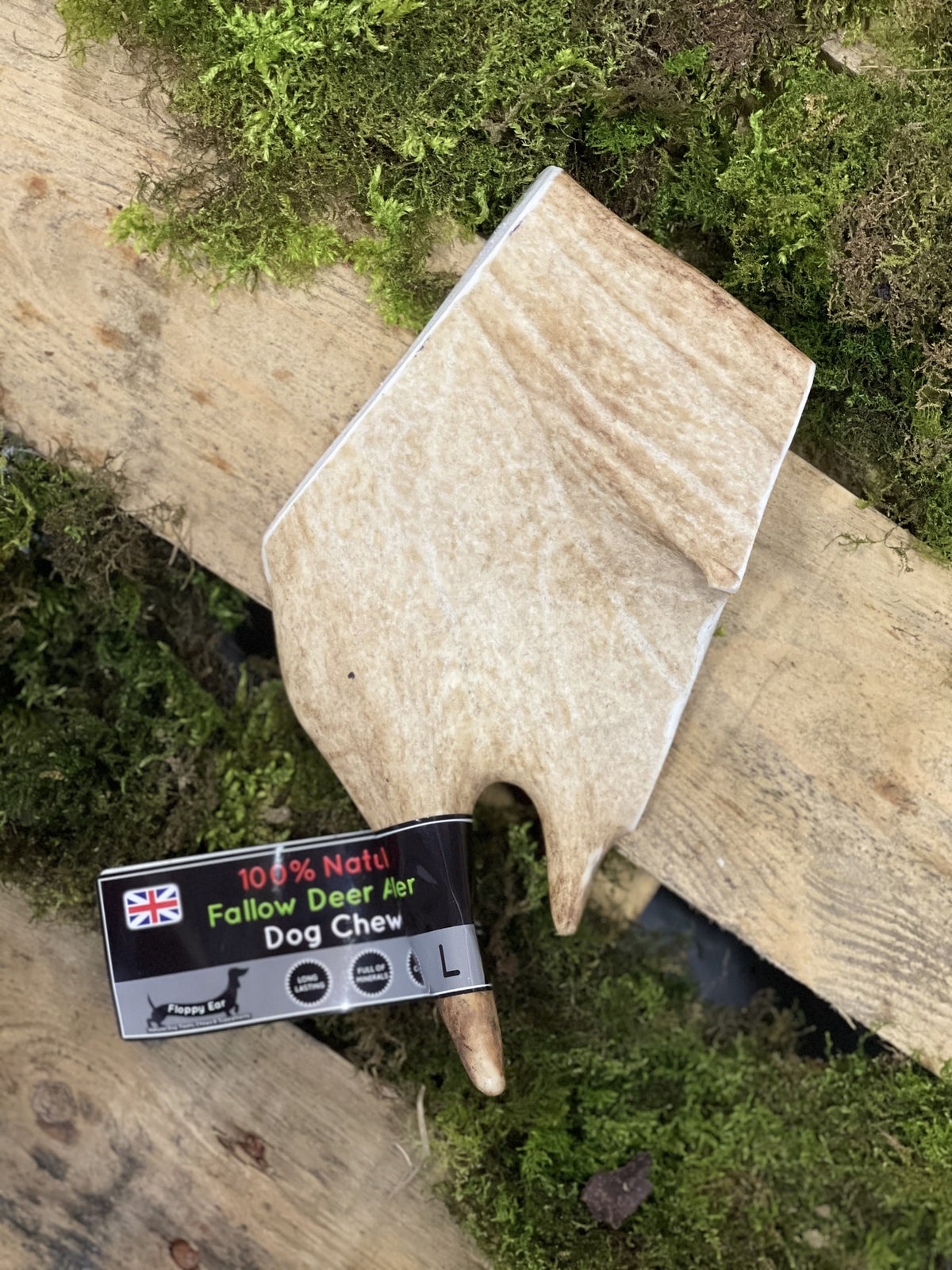 Floppy Ear 100% Natural Fallow Deer Antler Chew Large size