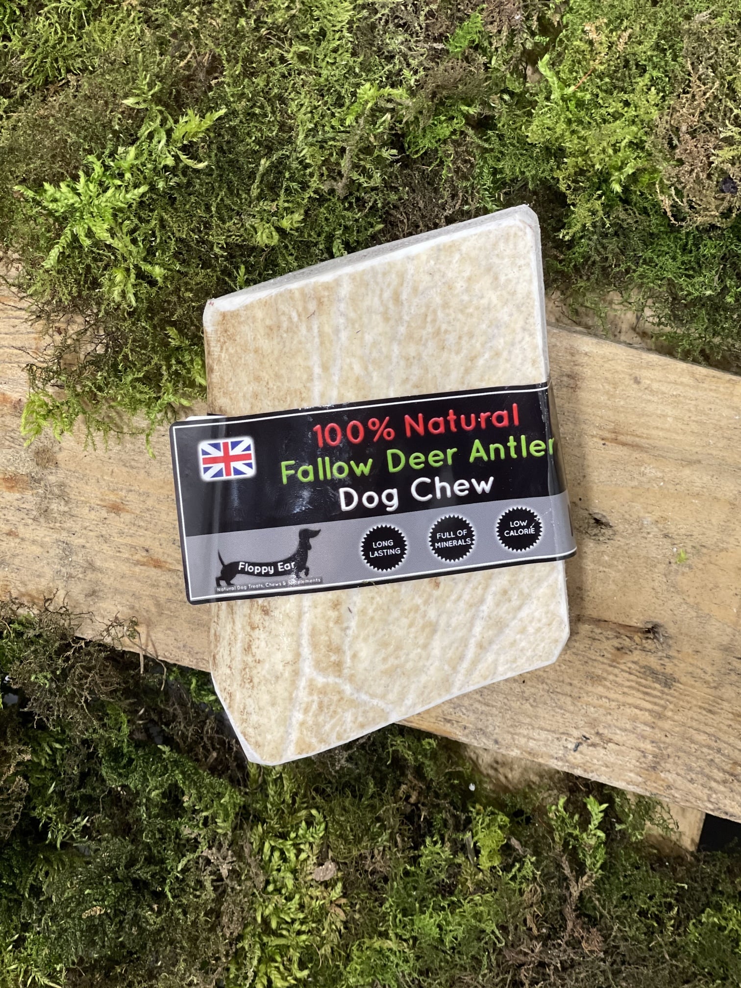 Floppy Ear 100% Natural Fallow Deer Antler Chew Medium size on wood and moss