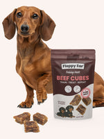 Bag of Floppy Ear Beef Cubes dog treats on a white background and a dog