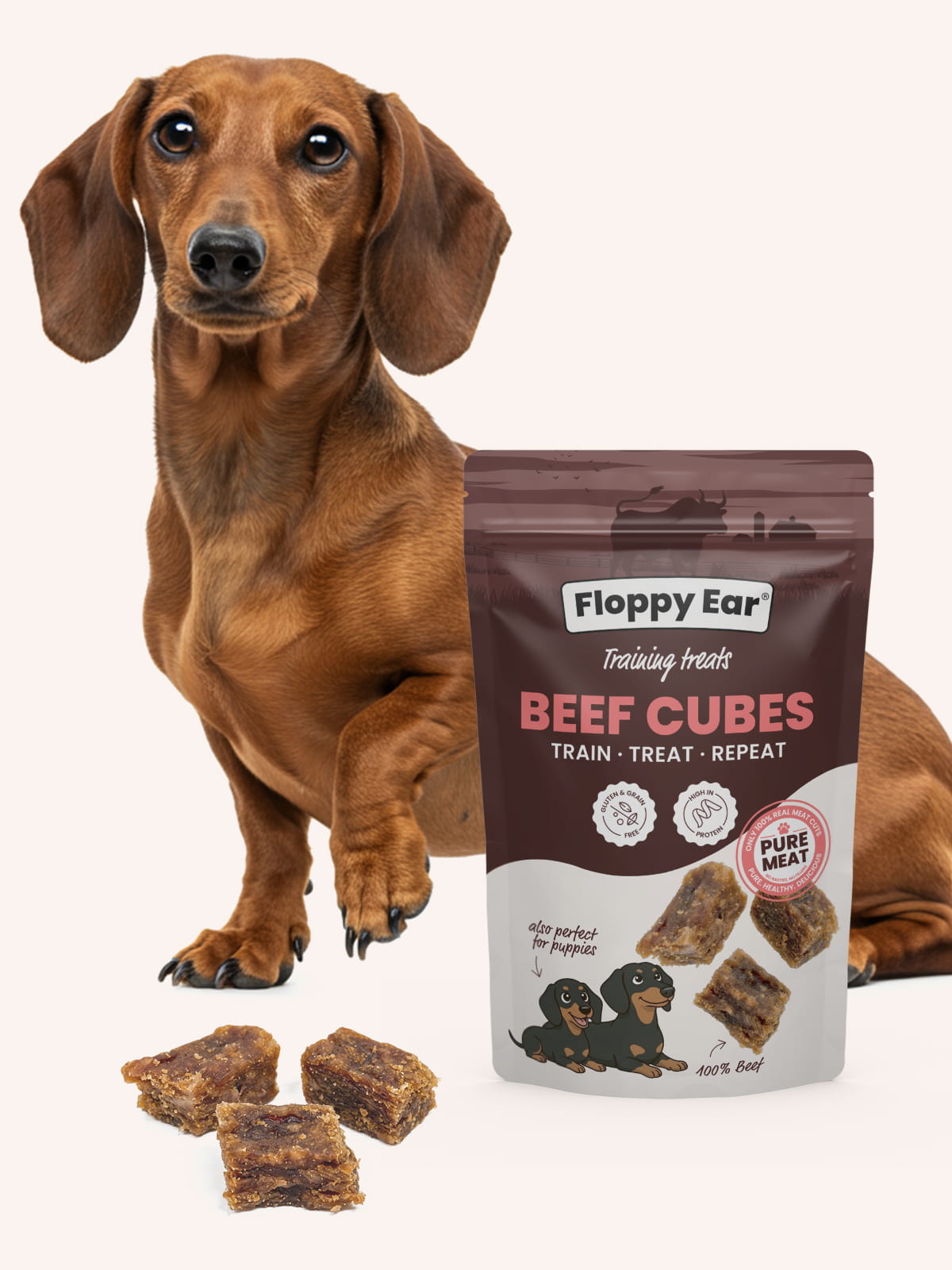Bag of Floppy Ear Beef Cubes dog treats on a white background and a dog