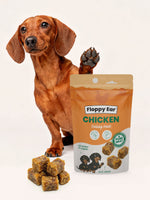 Dachshund with a bag of Floppy Ear Chicken training treats on a white background