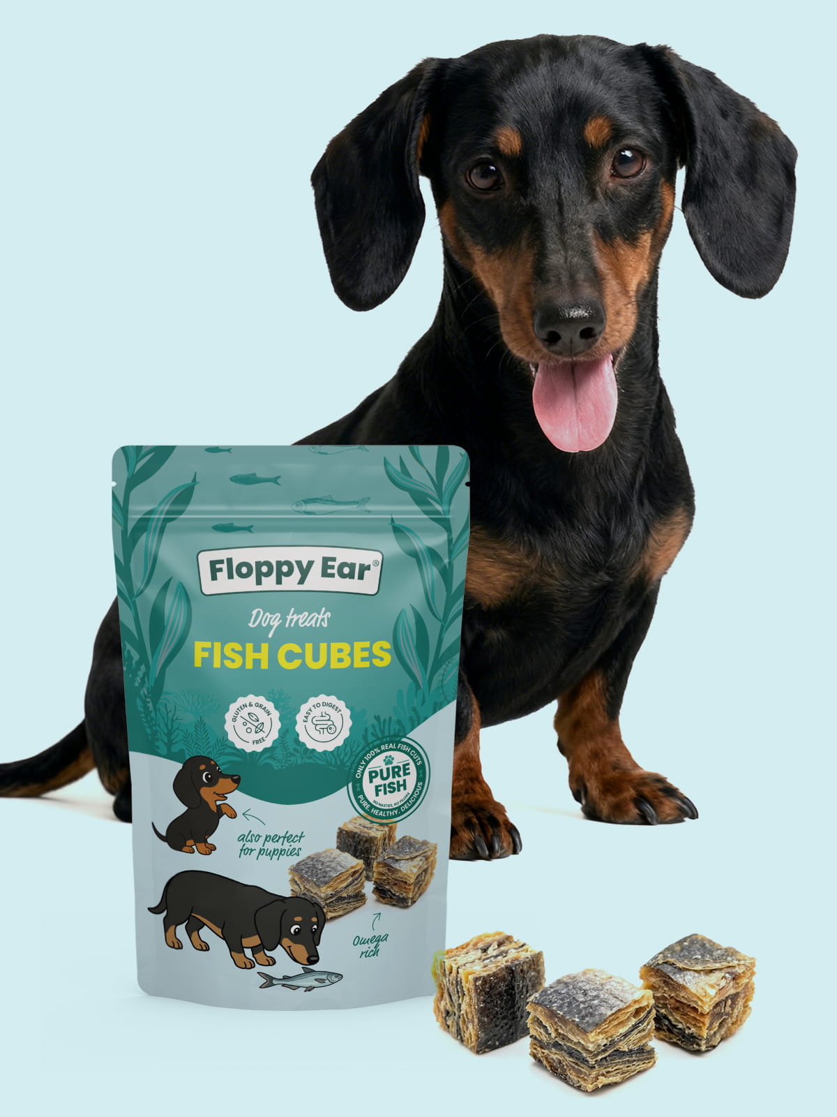 Dog with a package of Floppy Ear Fish Cubes on a light blue background
