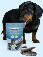 Dog with a package of Floppy Ear Fish Flatties on a light blue background