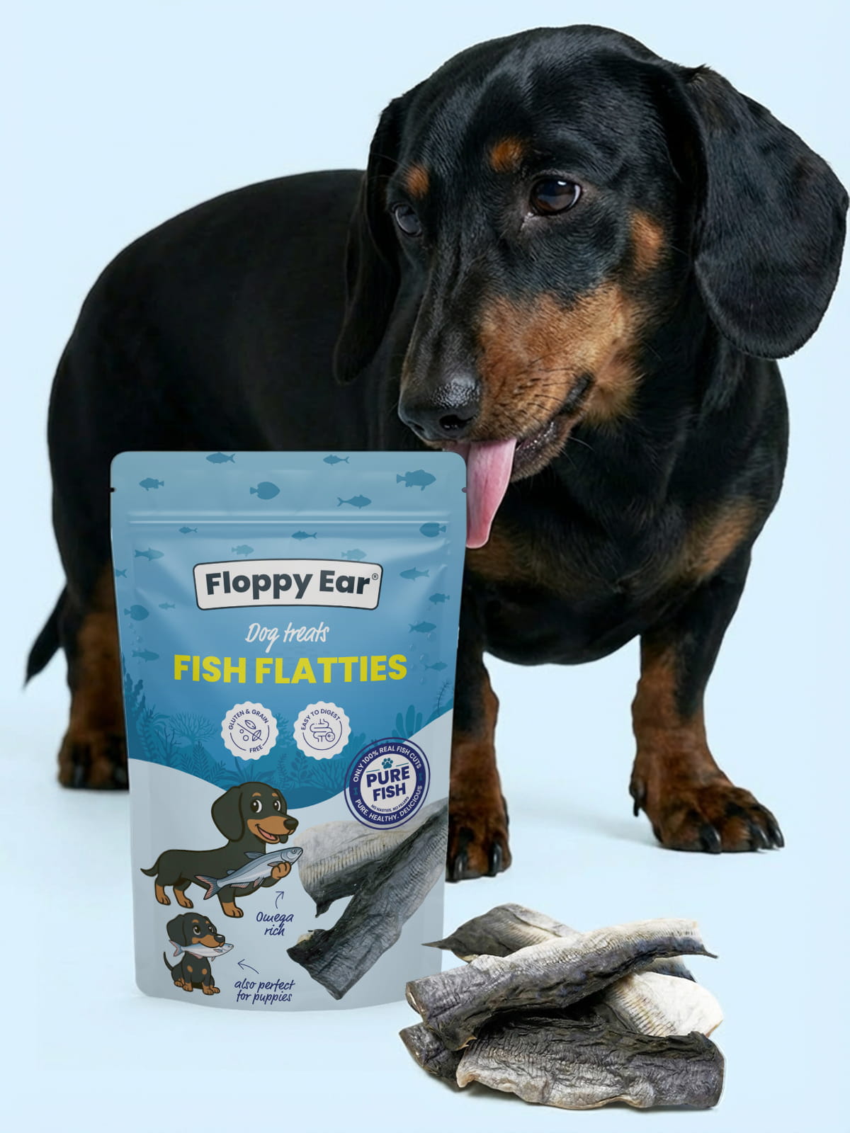 Dog with a package of Floppy Ear Fish Flatties on a light blue background