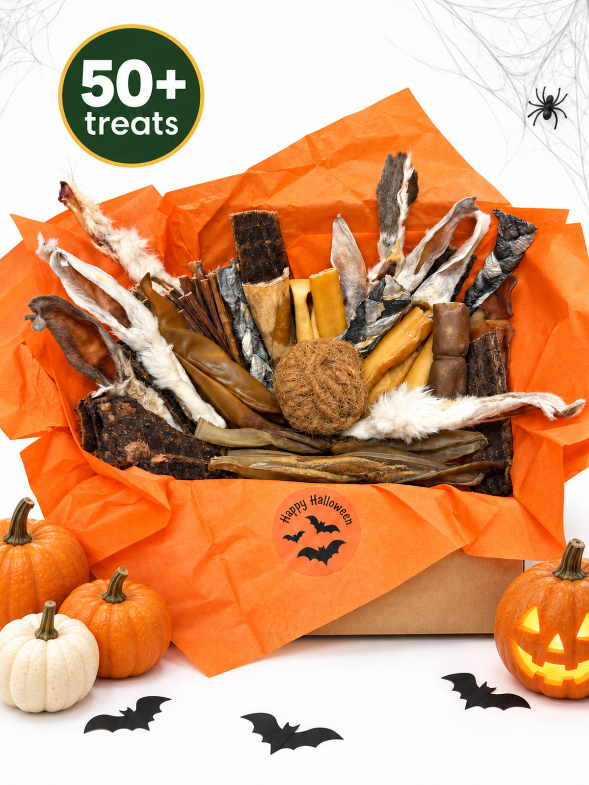 Halloween Dog Treat Box – 50+ Natural Treats & Chews