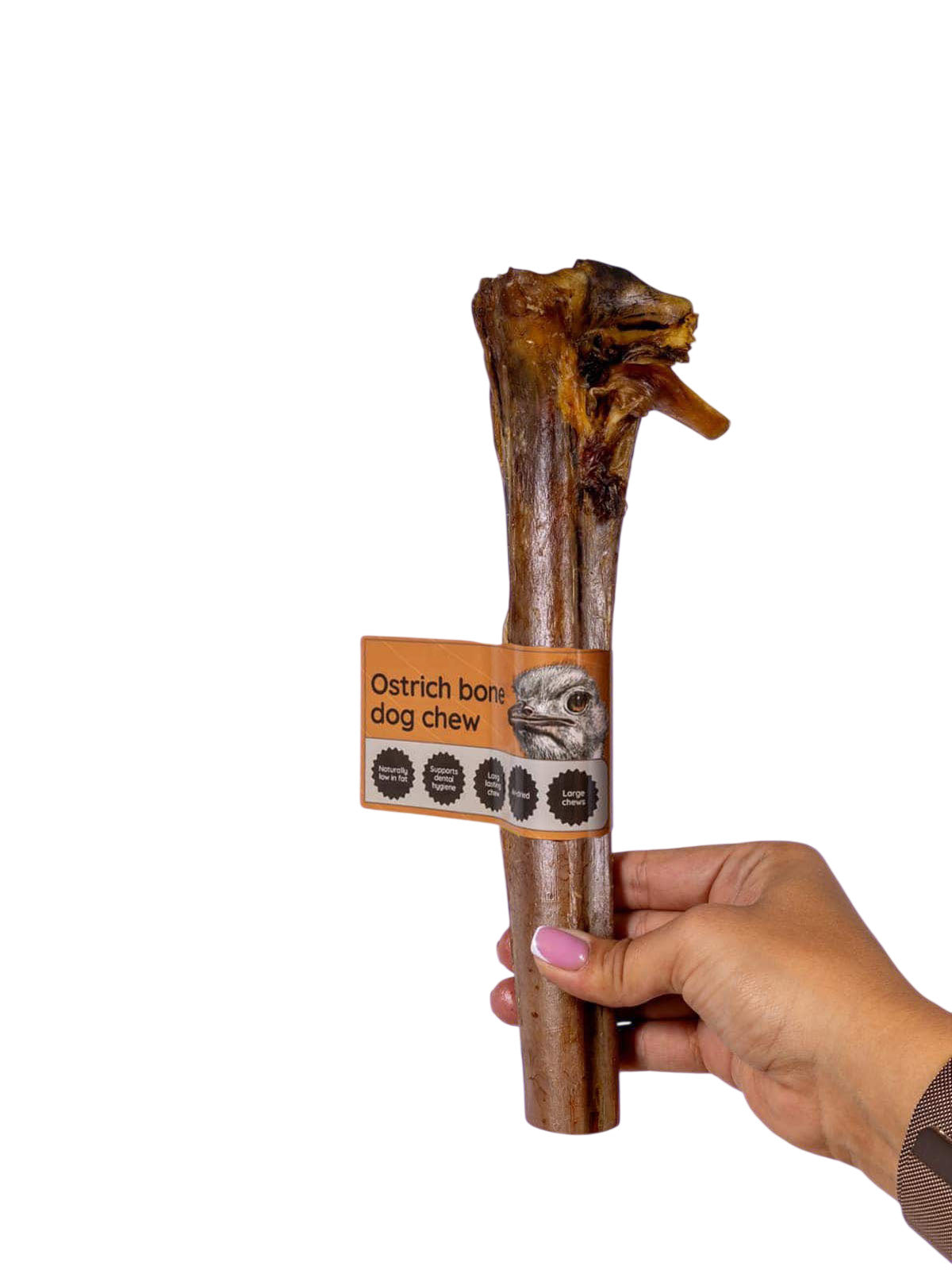 Hand holding a large natural ostrich bone dog chew from Floppy Ear – air-dried, long-lasting, low fat dental chew for dogs