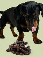 Black and tan dachshund dog licking its lips over a pile of Floppy Ear Pork & Apple Sausages dog treats
