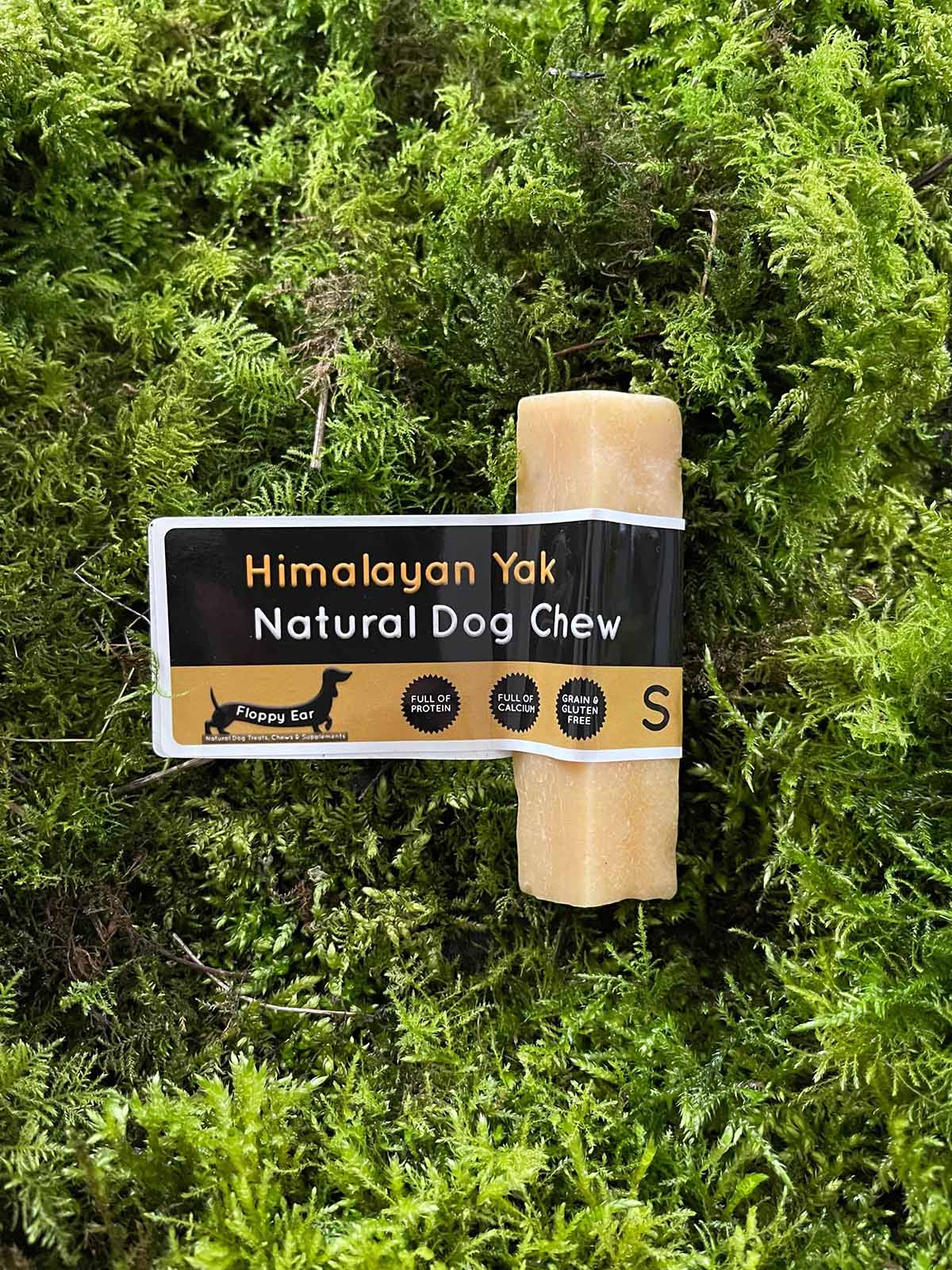 Floppy Ear Himalayan Yak Natural Dog Chew Small size on moss