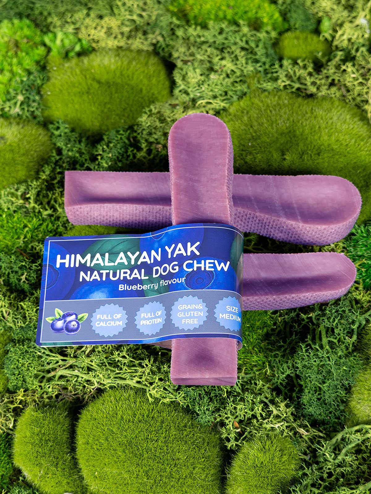 Floppy Ear Himalayan Yak Chew Blueberry Flavour Medium size on moss