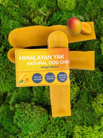 Floppy Ear Himalayan Yak Chew Mango Flavour Medium size on moss with mango