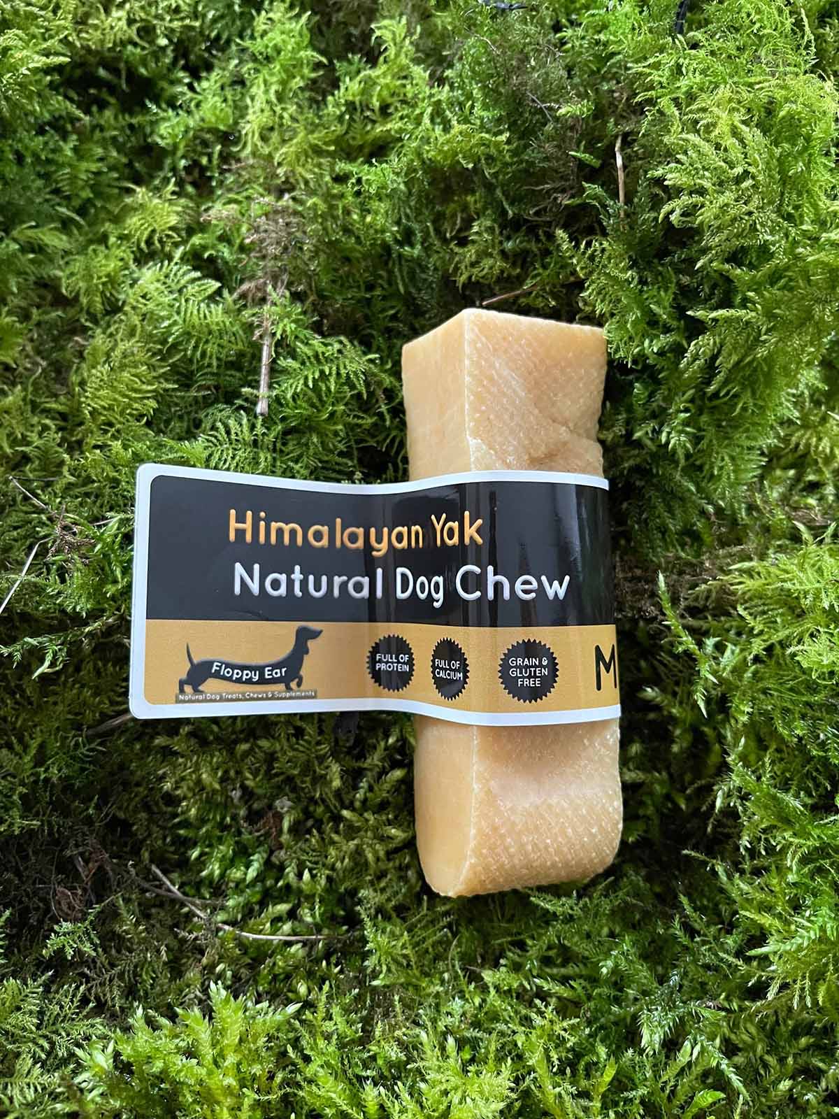 Floppy Ear Himalayan Yak Natural Dog Chew Medium size on moss