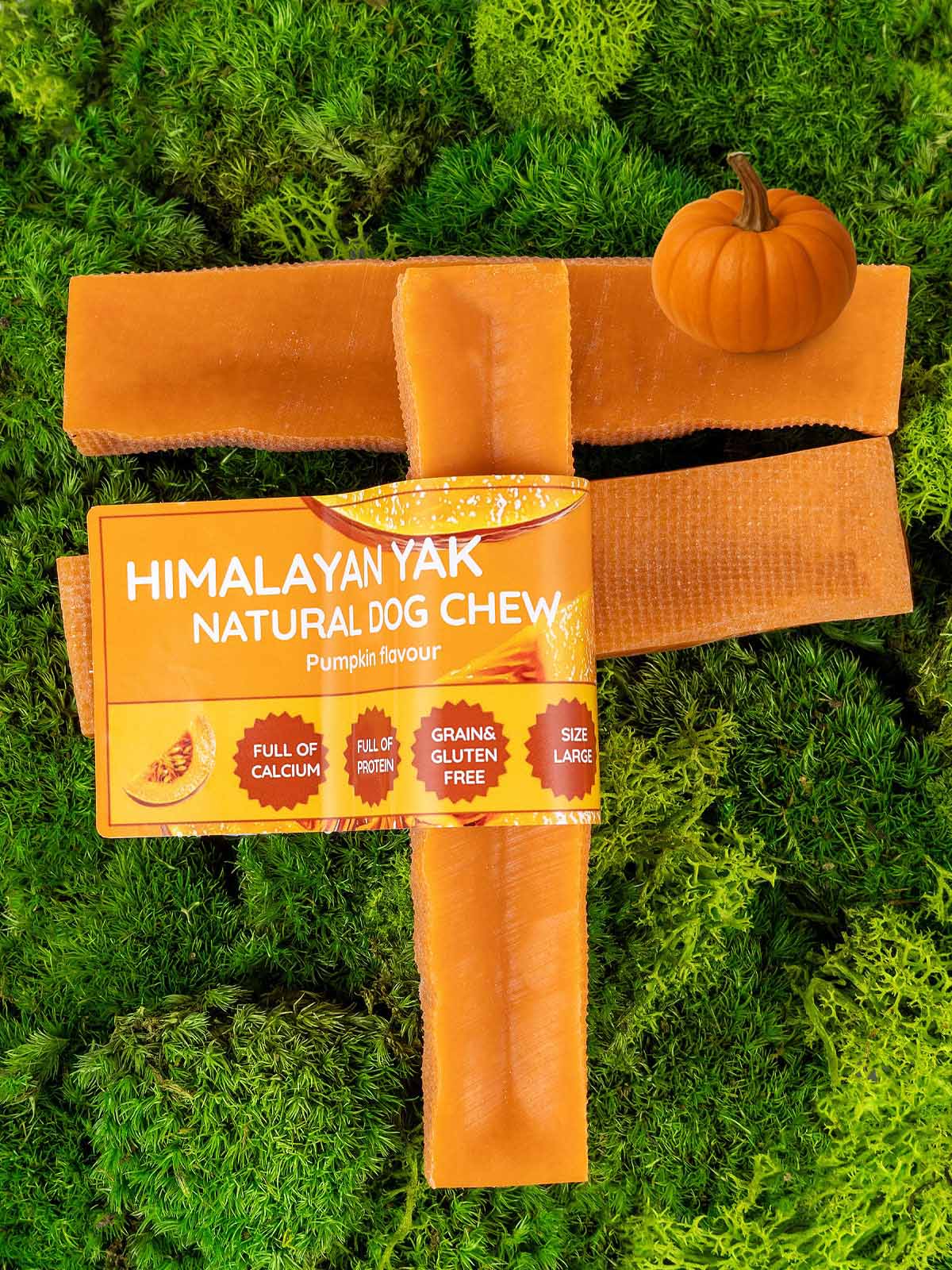 Floppy Ear Himalayan Yak Chew Pumpkin Flavour Large size on moss with pumpkin