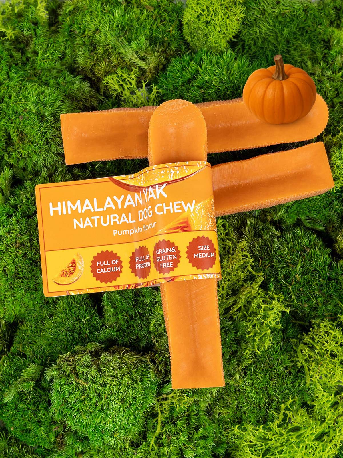 Floppy Ear Himalayan Yak Chew Pumpkin Flavour Medium size on moss with pumpkin