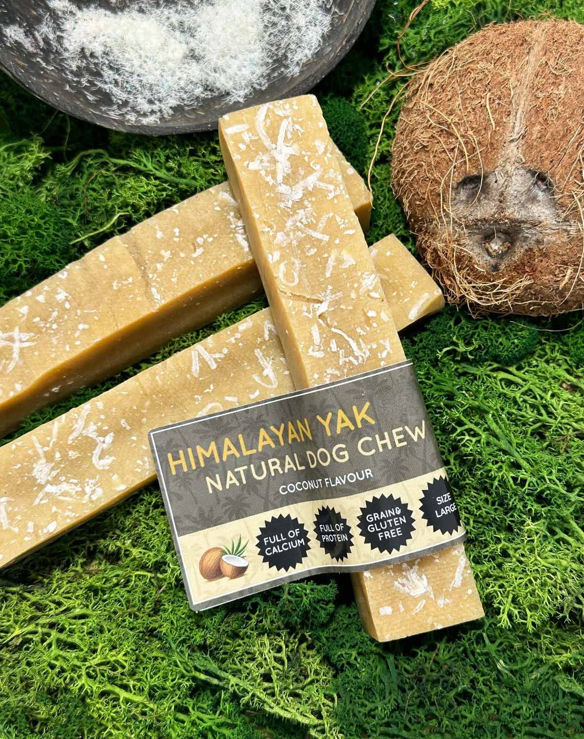 Floppy Ear Himalayan Yak Chew Coconut Flavour Large size on moss with coconut