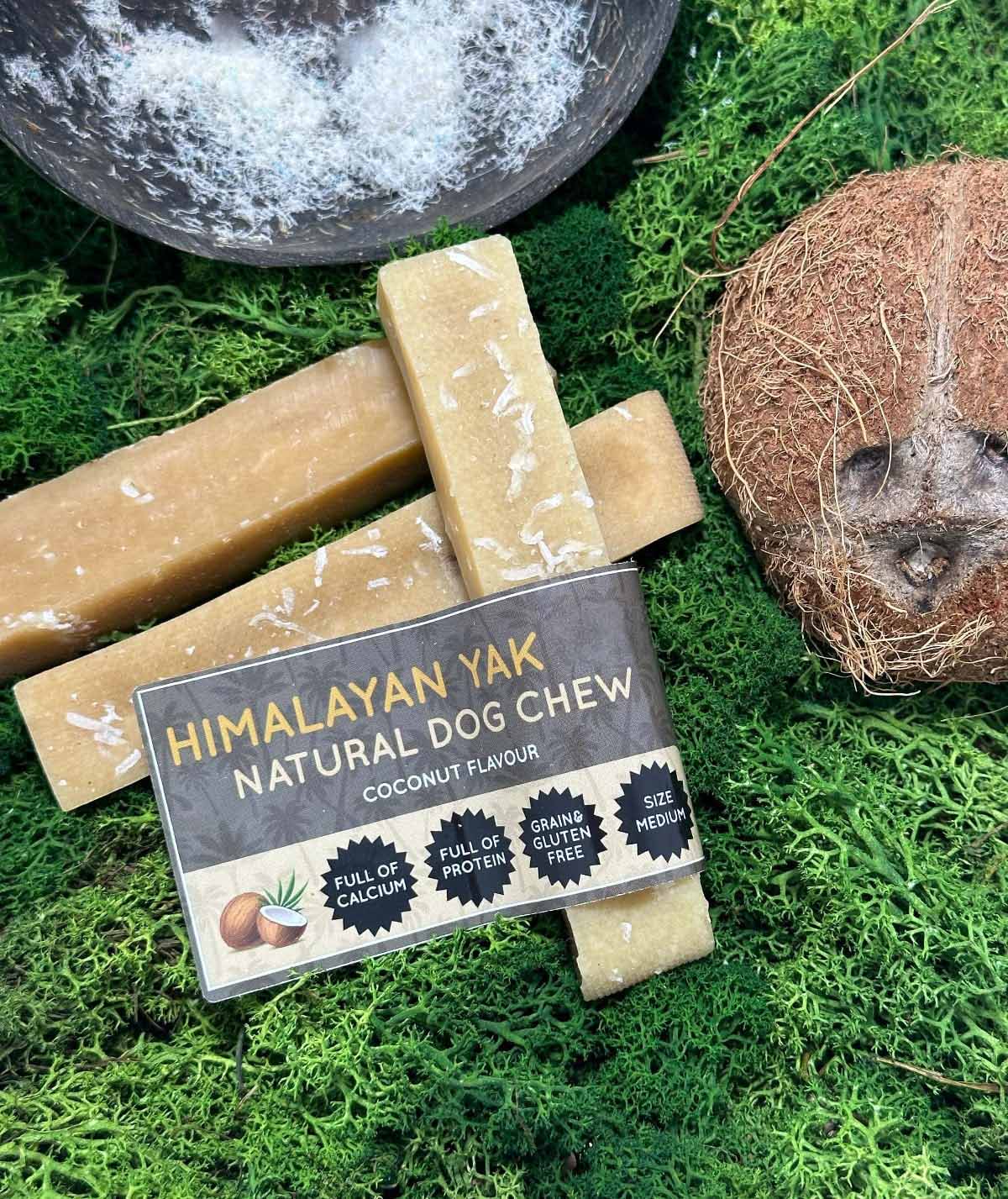 Floppy Ear Himalayan Yak Chew Coconut Flavour Medium size on moss with coconut