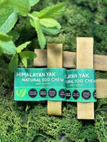 Floppy Ear Himalayan Yak Chews Mint Flavour Medium and Large sizes on moss with mint leaves