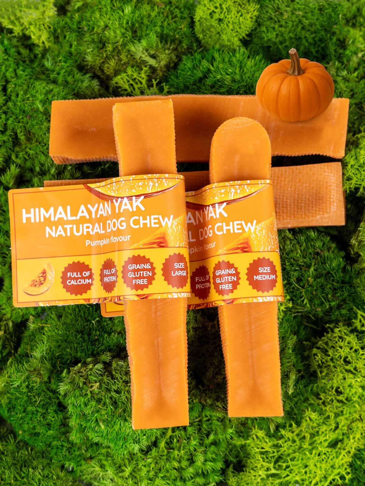 Floppy Ear Himalayan Yak Chews Pumpkin Flavour Medium and Large sizes on moss background
