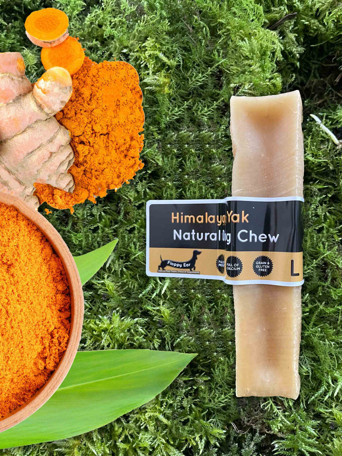 Floppy Ear Himalayan Yak Dog Chew Turmeric Flavour Large size on moss with fresh turmeric root and powder