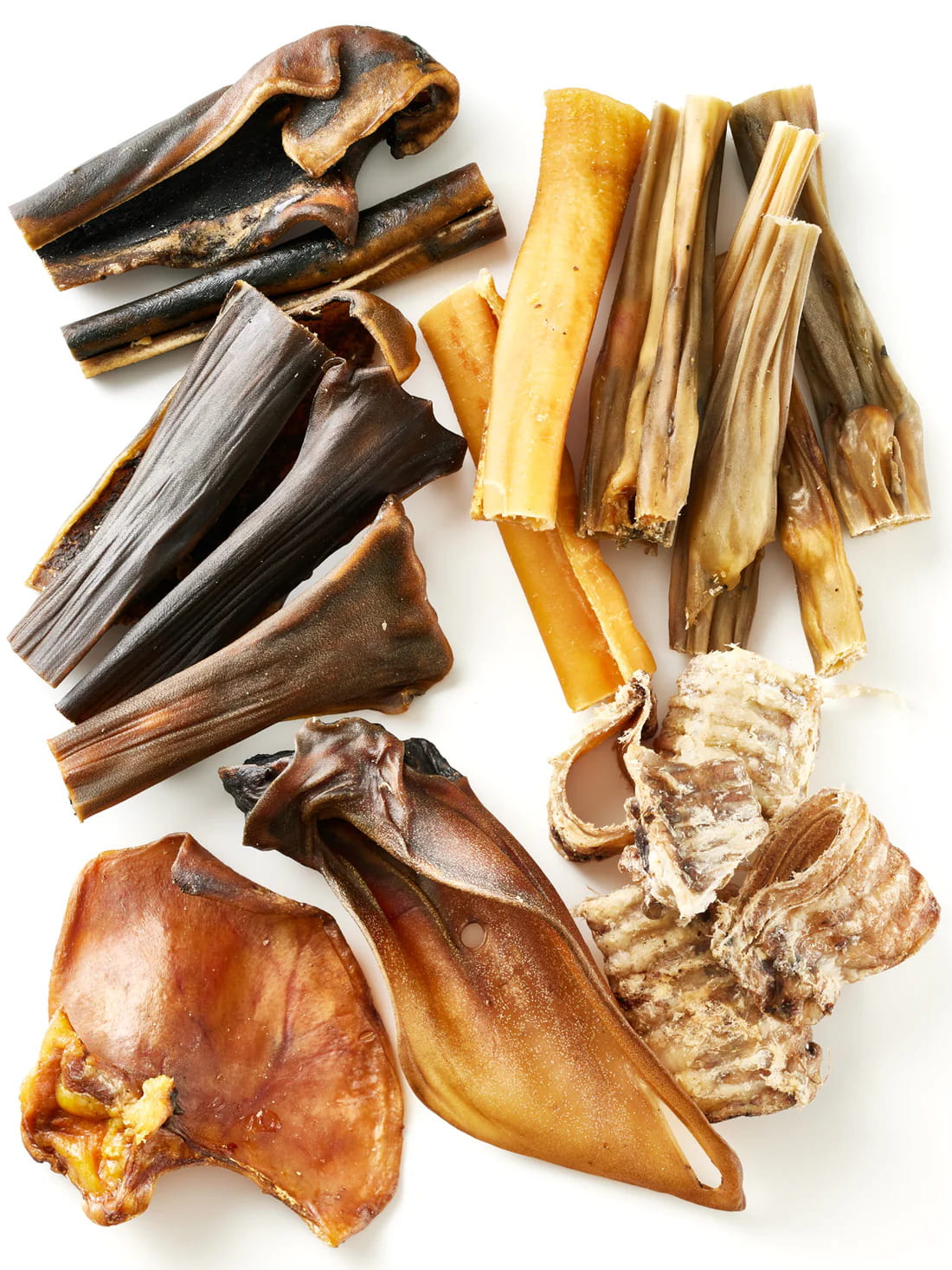 Flat lay assortment of natural dog chews from Floppy Ear – variety of premium single-ingredient chews including pig ears, trachea rings, beef rolls and skins on white background