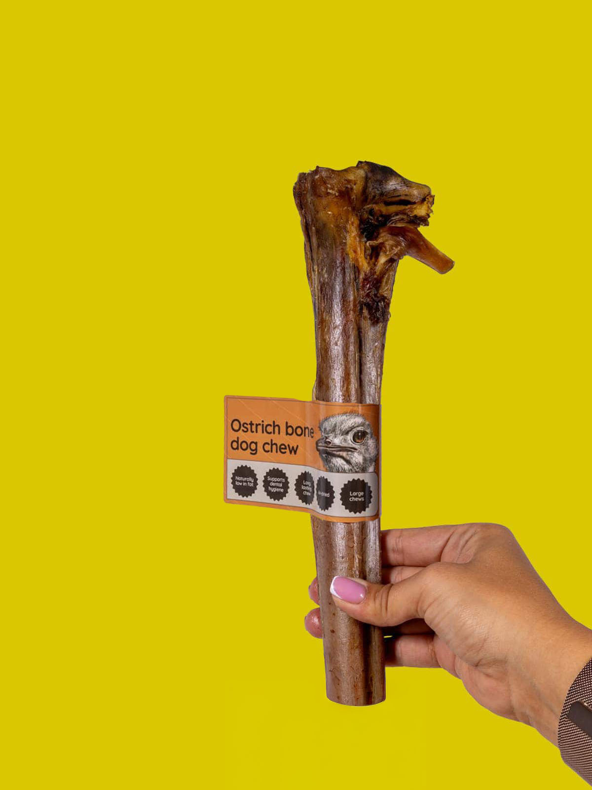 Floppy Ear Ostrich Bone Dog Chew Large size held in hand